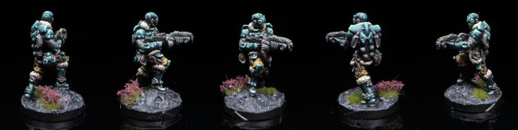 Yě Māo with AP Spitfire. Credit: Rockfish