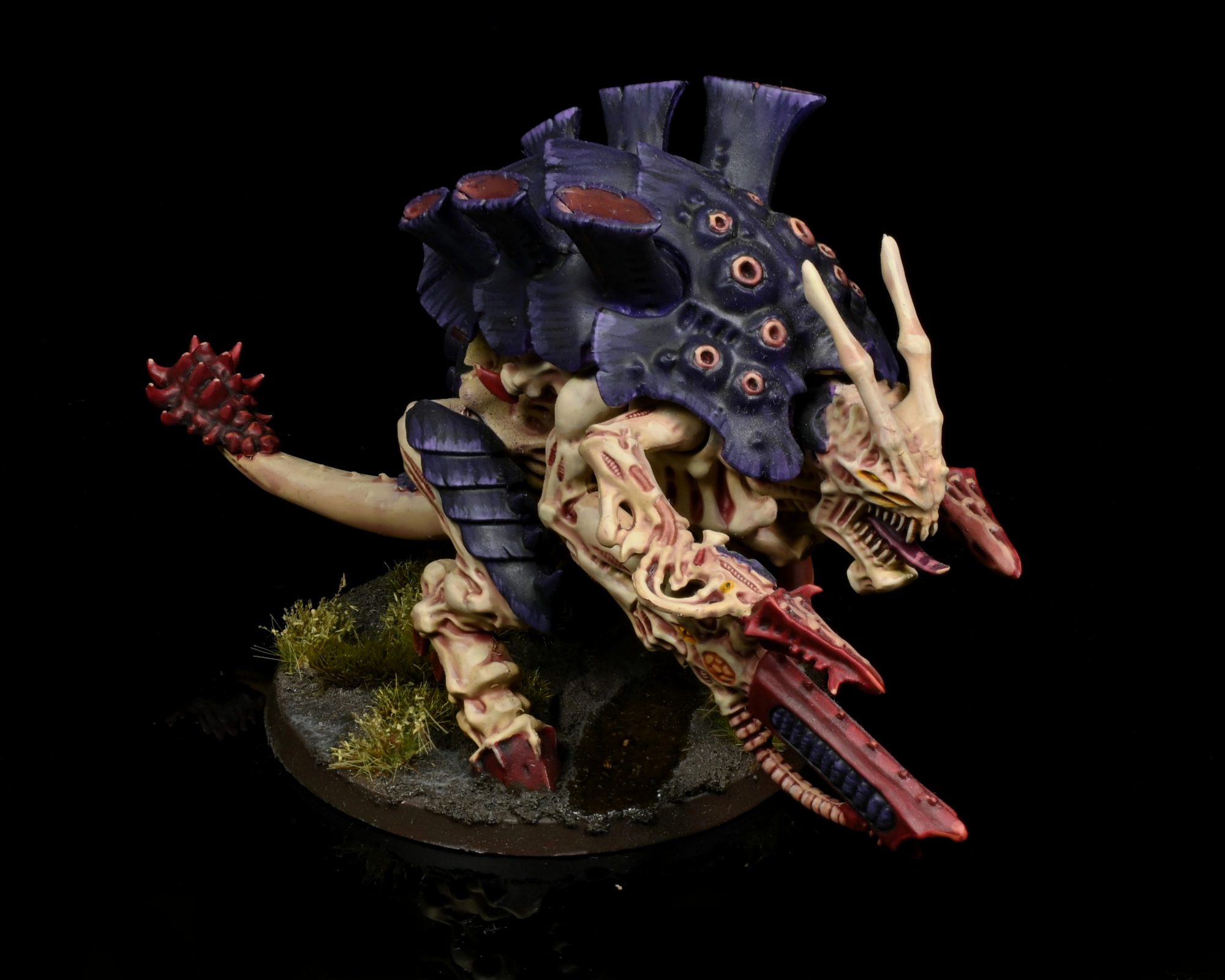 Carnifex. Credit: Rockfish