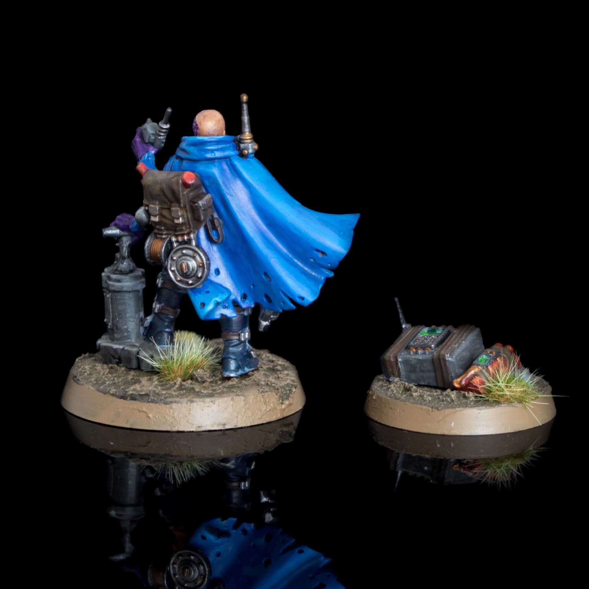 Reductus Saboteur. Credit: Soggy