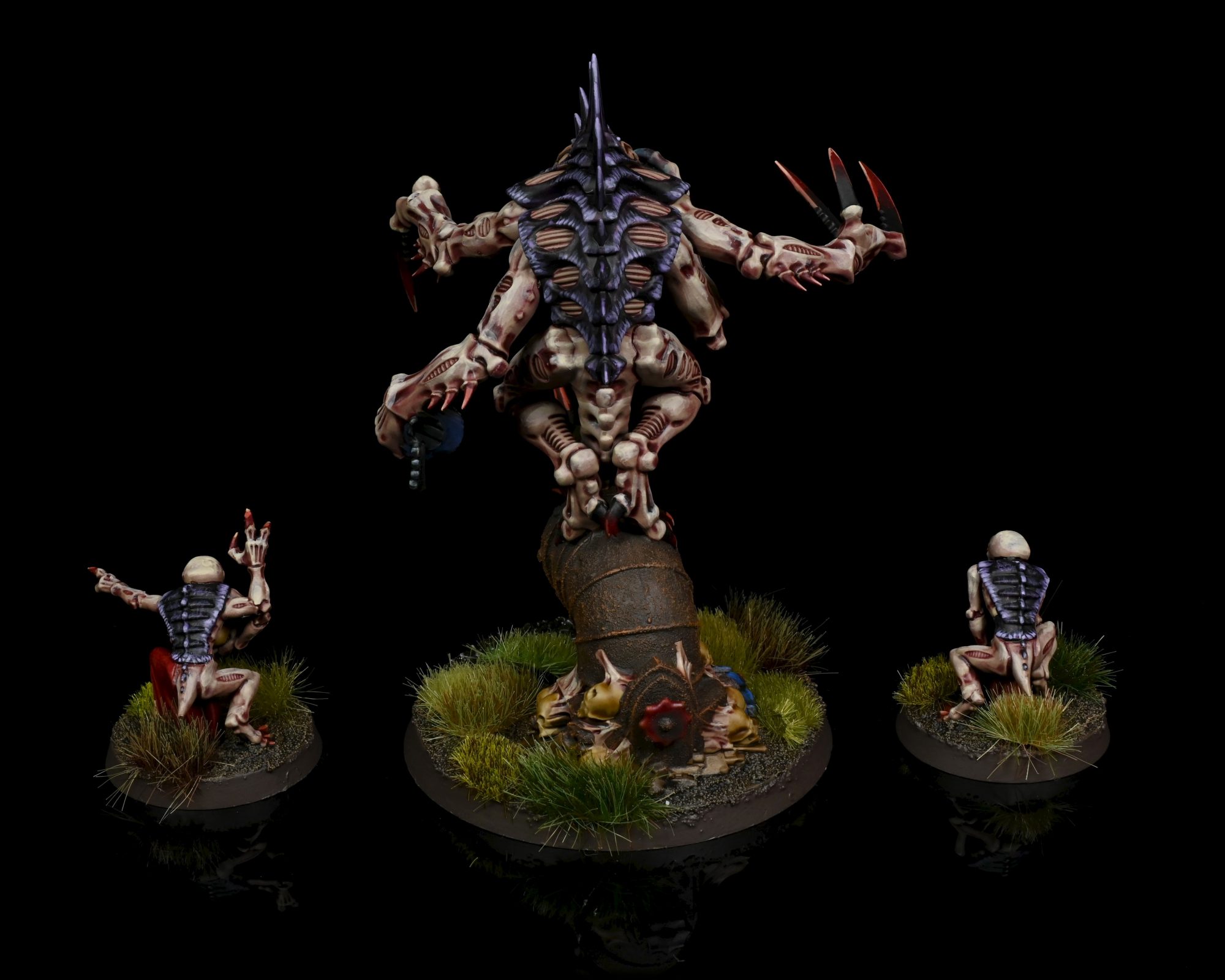 Patriarch. Credit: Rockfish