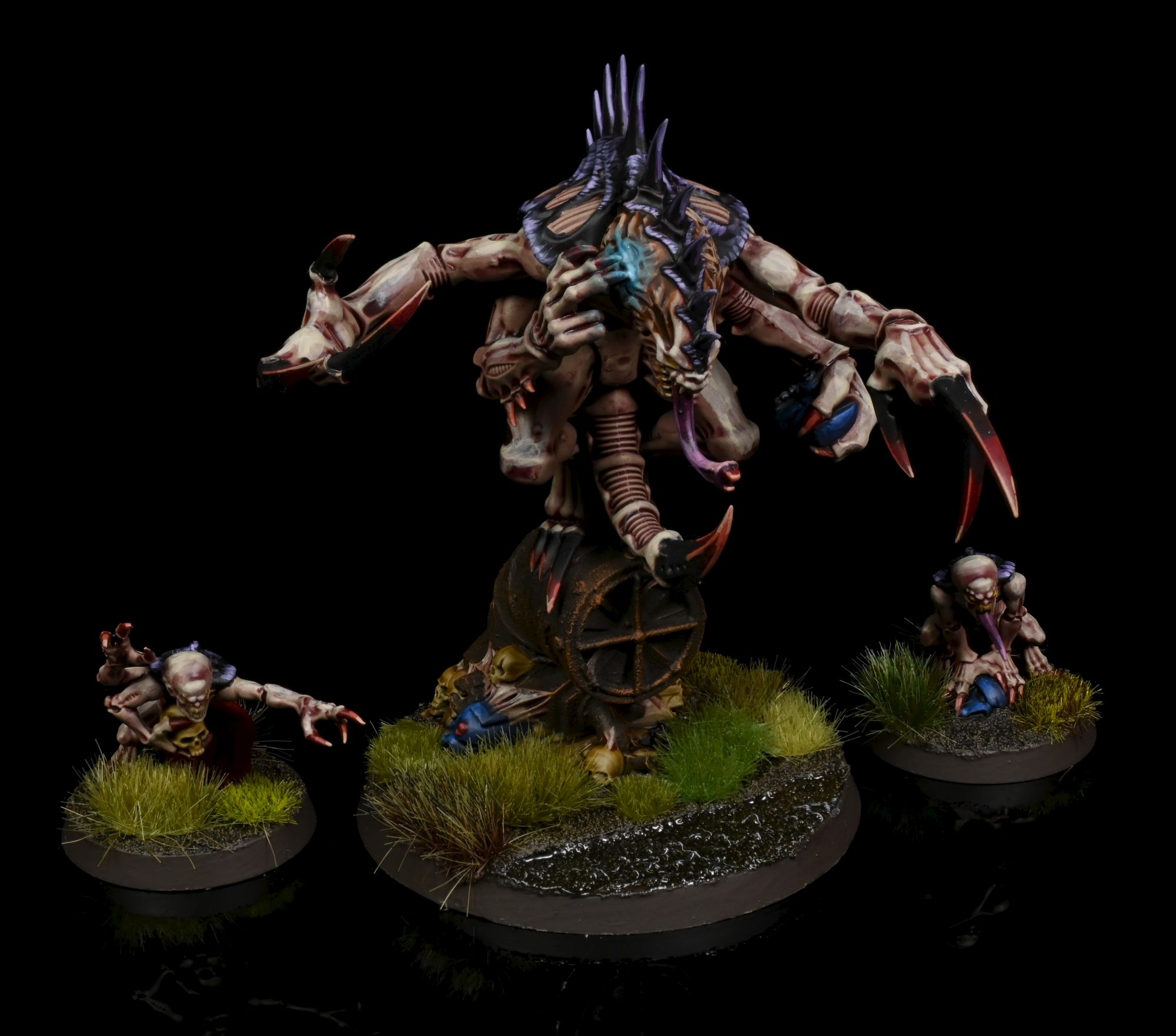 Patriarch. Credit: Rockfish