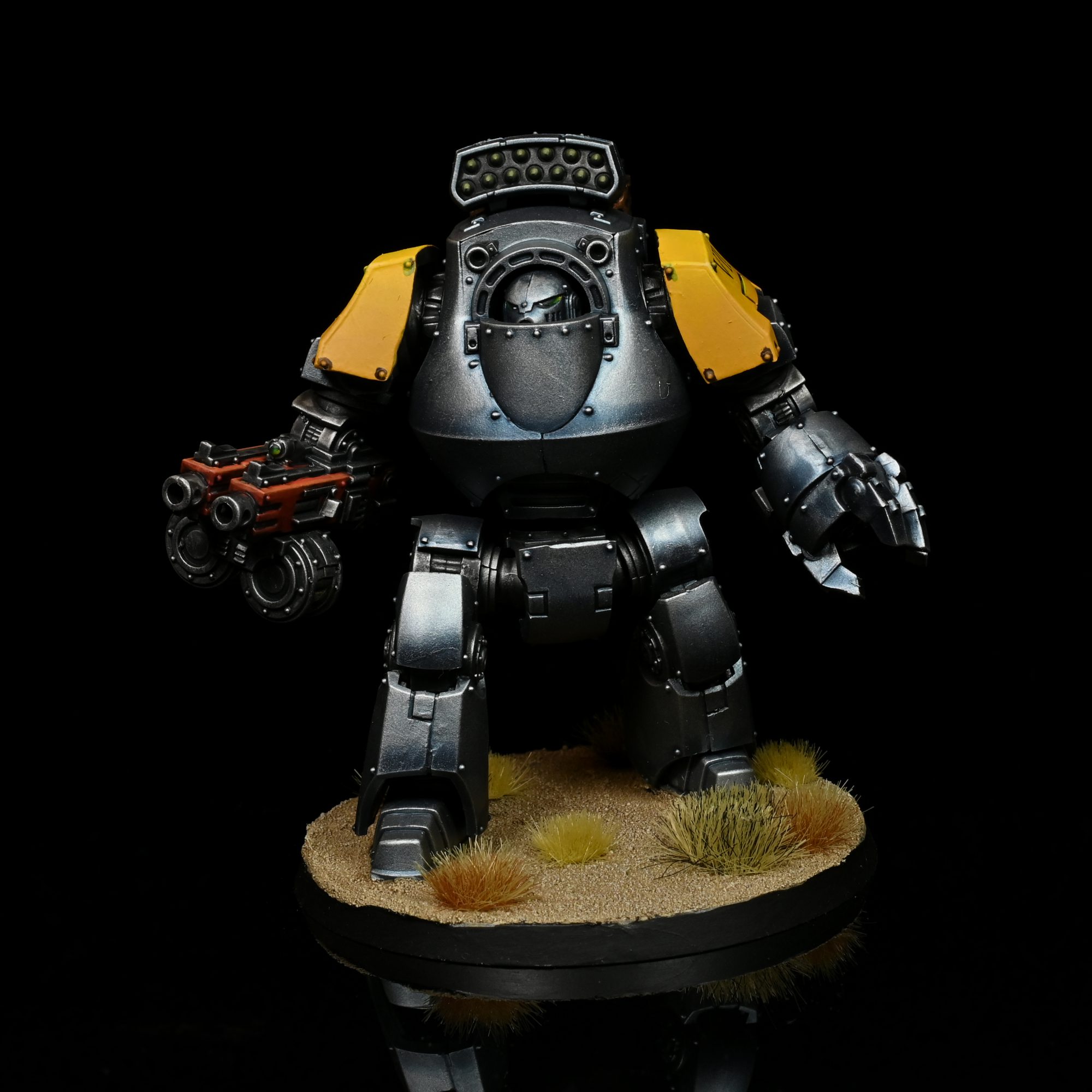 Contemptor. Credit: Rockfish