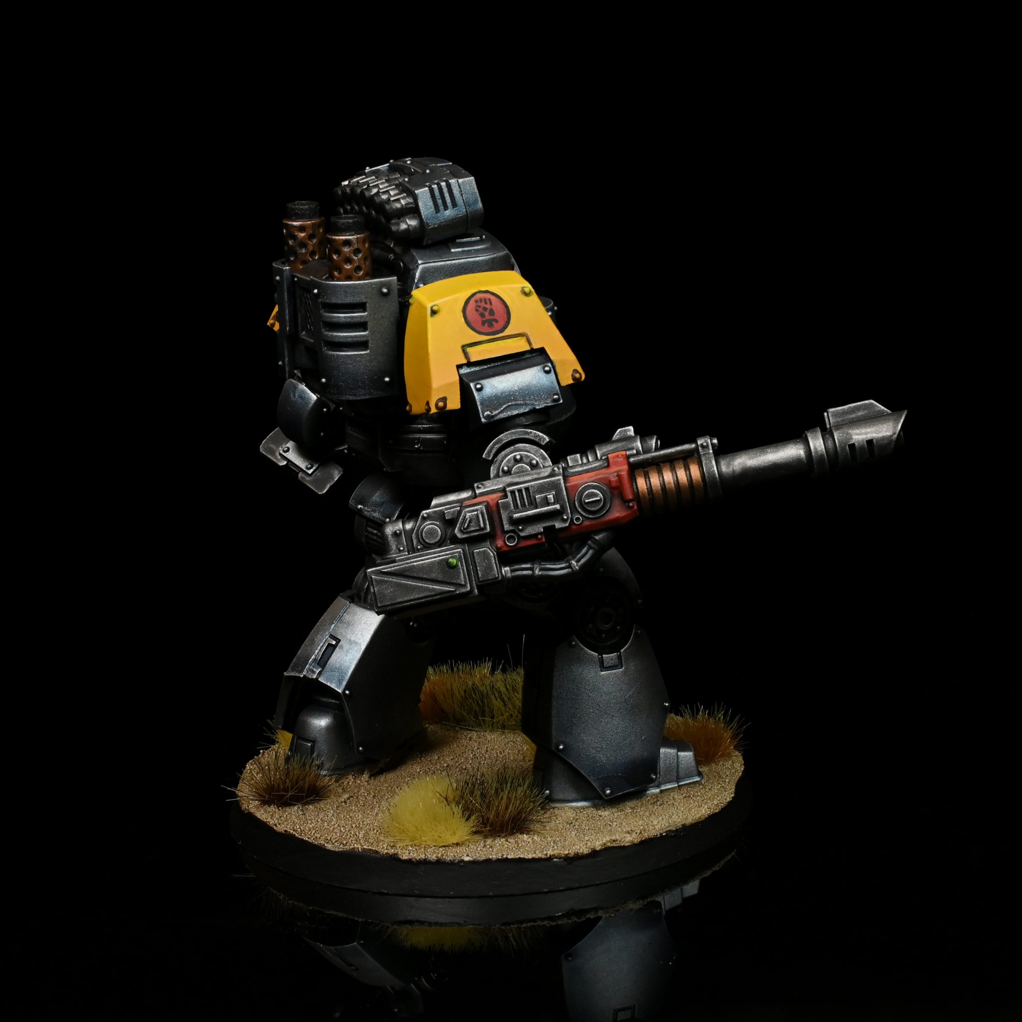 Contemptor. Credit: Rockfish