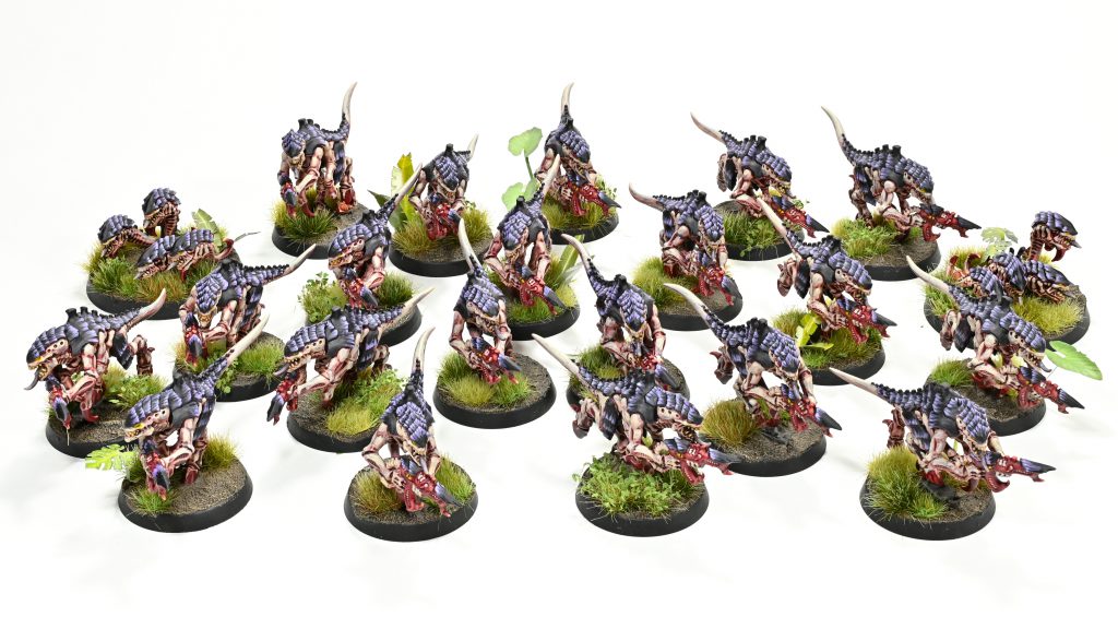 Termagants. Credit: Rockfish