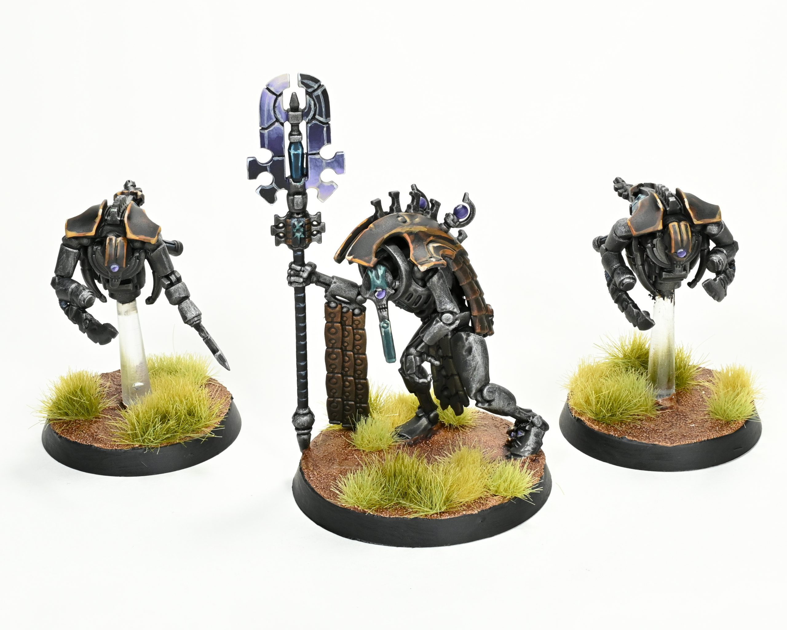 Kamoteph The Crooked. Credit: Rockfish