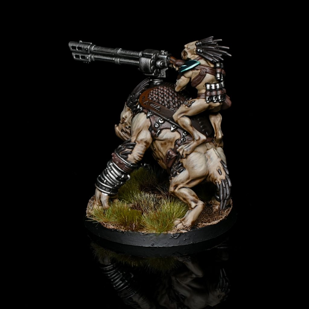 Krootox Rider. Credit: Rockfish