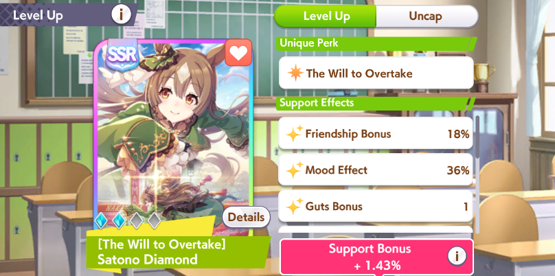 Support Card at a glance